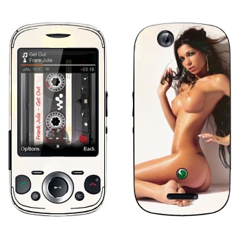 Sony Ericsson W20i Zylo