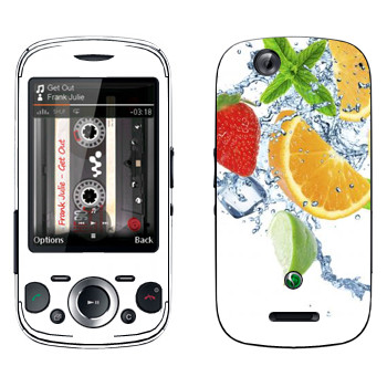 Sony Ericsson W20i Zylo