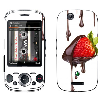 Sony Ericsson W20i Zylo