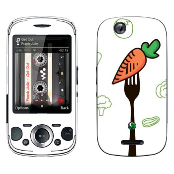 Sony Ericsson W20i Zylo