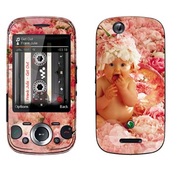   «  »   Sony Ericsson W20i Zylo