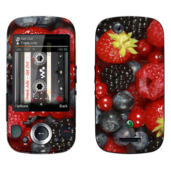 Sony Ericsson W20i Zylo