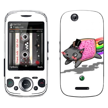 Sony Ericsson W20i Zylo