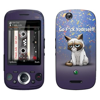 Sony Ericsson W20i Zylo