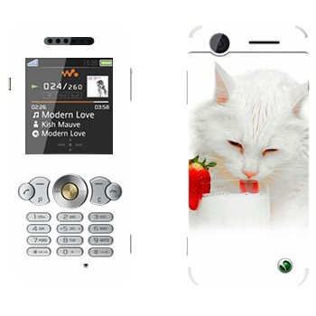   «   »   Sony Ericsson W302