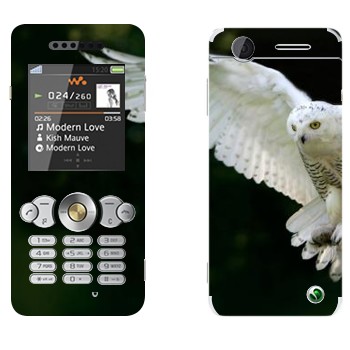   «   »   Sony Ericsson W302