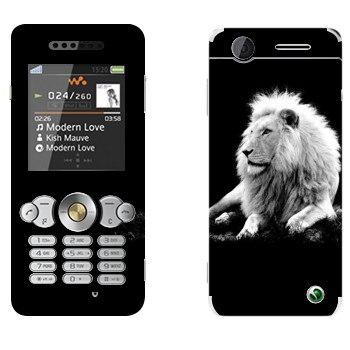 Sony Ericsson W302