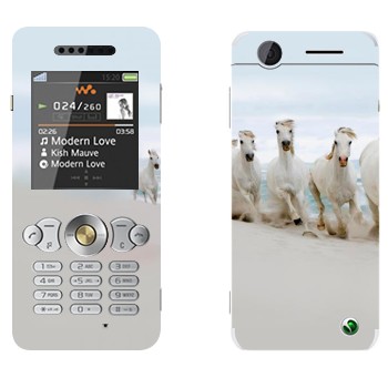 Sony Ericsson W302