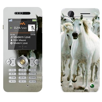 Sony Ericsson W302