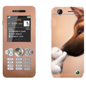   «   »   Sony Ericsson W302