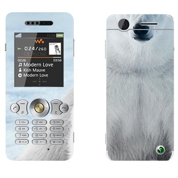   « »   Sony Ericsson W302