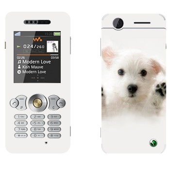   « »   Sony Ericsson W302