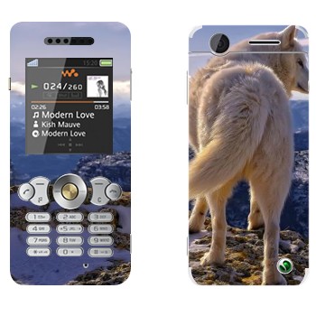   « »   Sony Ericsson W302