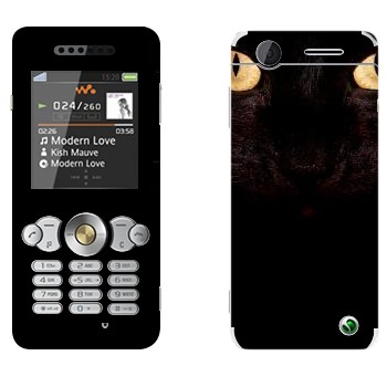   « »   Sony Ericsson W302