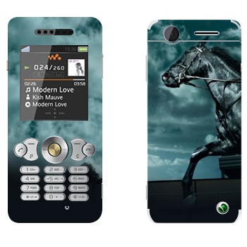 Sony Ericsson W302