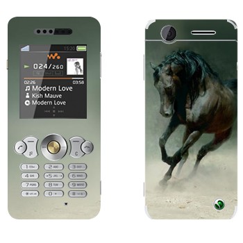 Sony Ericsson W302