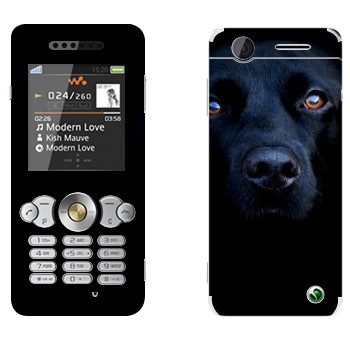   « »   Sony Ericsson W302