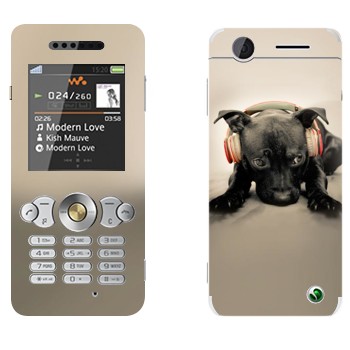   «   »   Sony Ericsson W302