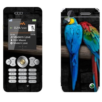   «  »   Sony Ericsson W302