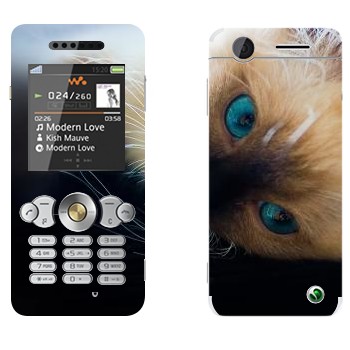   « »   Sony Ericsson W302