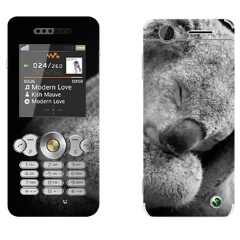   « »   Sony Ericsson W302