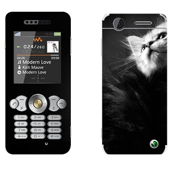   « -»   Sony Ericsson W302