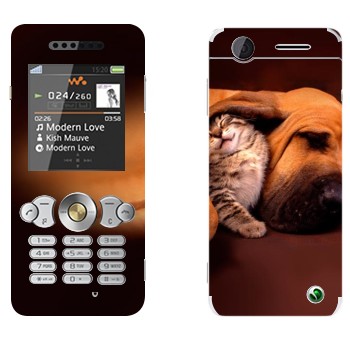   «  »   Sony Ericsson W302