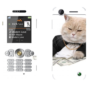   «»   Sony Ericsson W302