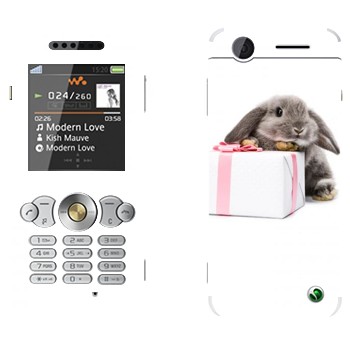   «  »   Sony Ericsson W302