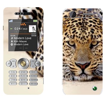   « »   Sony Ericsson W302