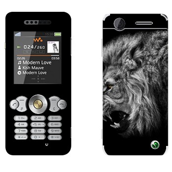   « »   Sony Ericsson W302