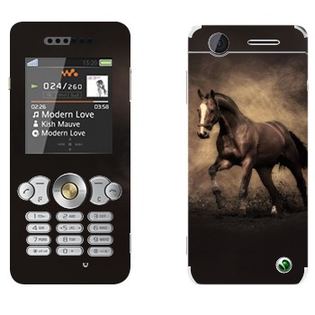 Sony Ericsson W302