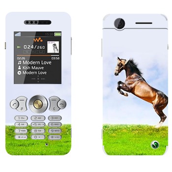   «    »   Sony Ericsson W302