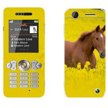 Sony Ericsson W302