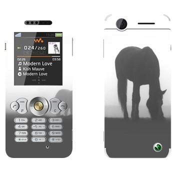   «  »   Sony Ericsson W302