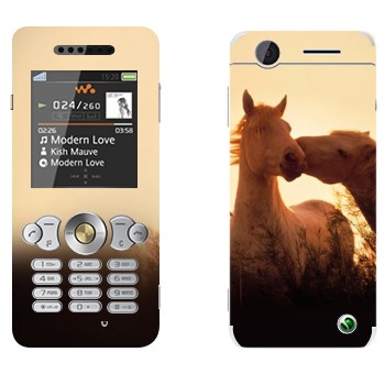 Sony Ericsson W302