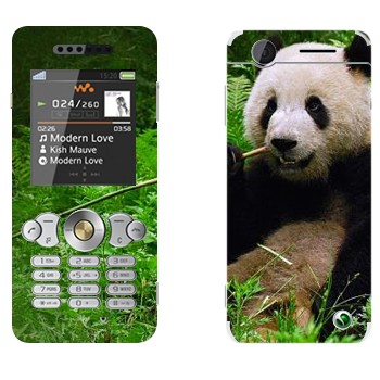   «  »   Sony Ericsson W302