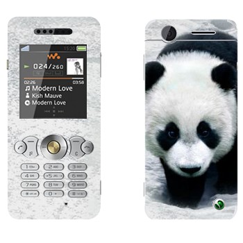 Sony Ericsson W302