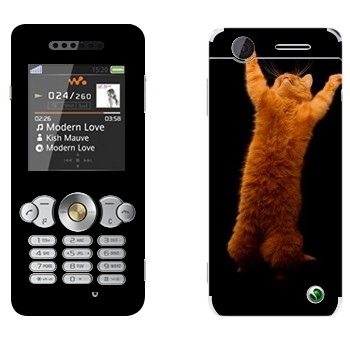   «     »   Sony Ericsson W302