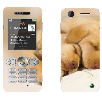   « »   Sony Ericsson W302