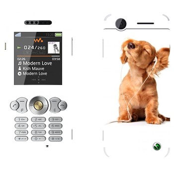 Sony Ericsson W302