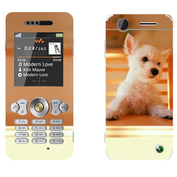   «  »   Sony Ericsson W302