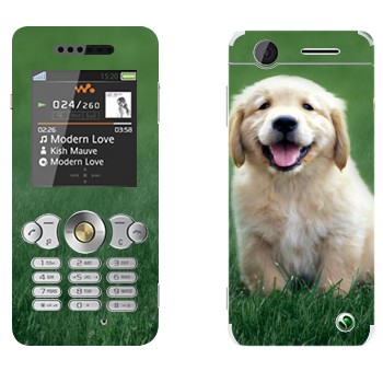   «  »   Sony Ericsson W302