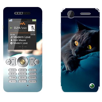 Sony Ericsson W302