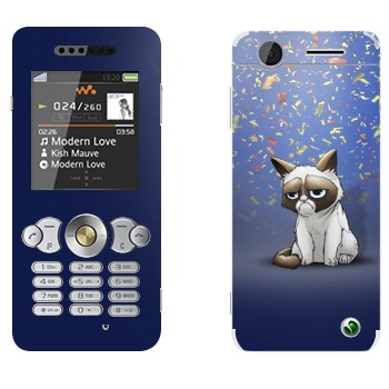   «   »   Sony Ericsson W302