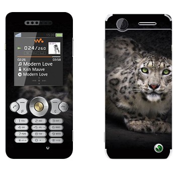 Sony Ericsson W302