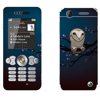   «  »   Sony Ericsson W302