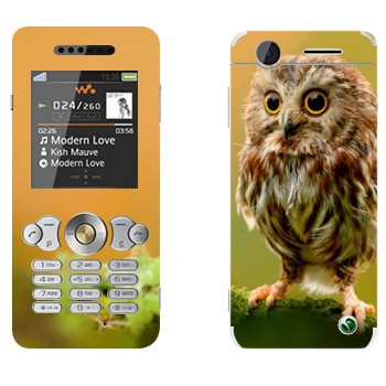   «  »   Sony Ericsson W302