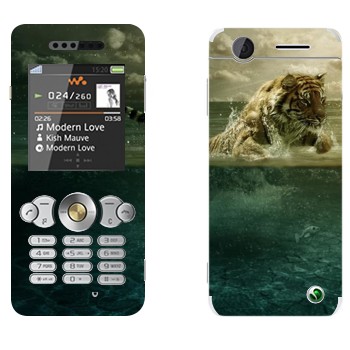 Sony Ericsson W302