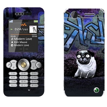 Sony Ericsson W302